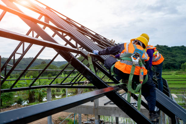 Best New Roof Installation  in Toledo, IL