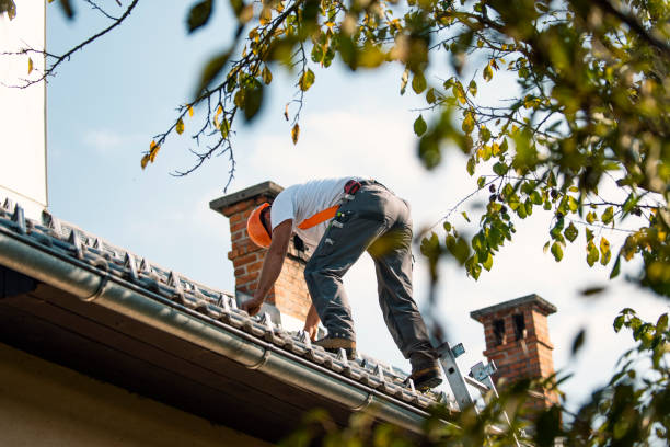 Best Commercial Roofing Services  in Toledo, IL