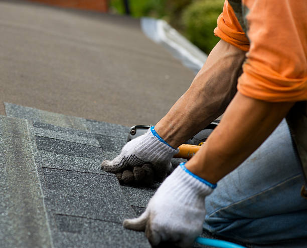 Best Roof Repair Services  in Toledo, IL