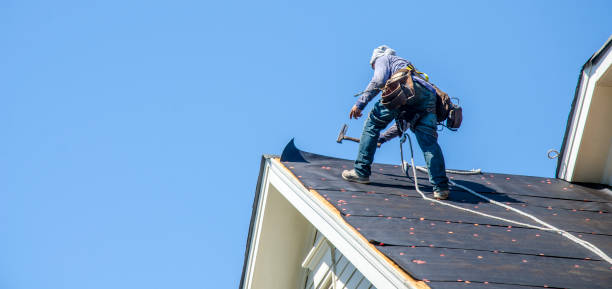 Best Roof Leak Repair  in Toledo, IL